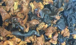 木耳的香气行家啊 木耳的香气行家啊